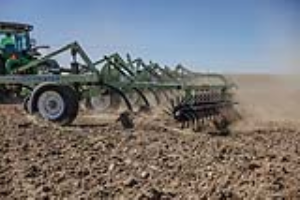 17 Fallow Master Orthman